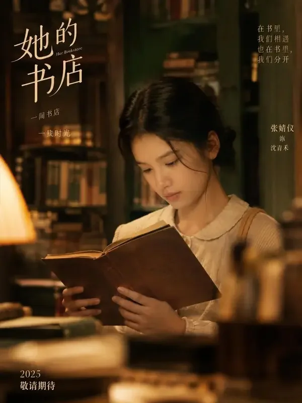 短剧《金绒辞典》封面
